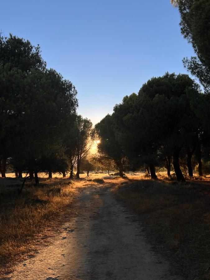 Posada Rural La Resinera La Adrada Εξωτερικό φωτογραφία