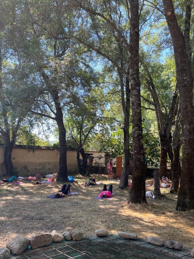 Posada Rural La Resinera La Adrada Εξωτερικό φωτογραφία