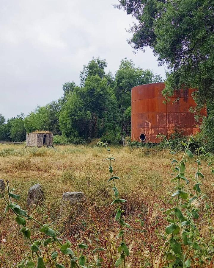 Posada Rural La Resinera La Adrada Εξωτερικό φωτογραφία