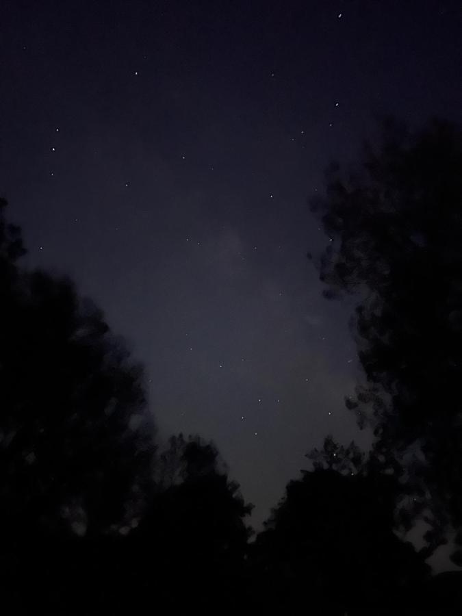 Posada Rural La Resinera La Adrada Εξωτερικό φωτογραφία