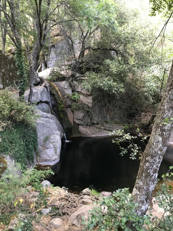 Posada Rural La Resinera La Adrada Εξωτερικό φωτογραφία