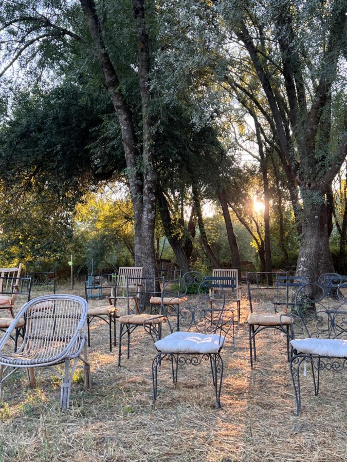 Posada Rural La Resinera La Adrada Εξωτερικό φωτογραφία