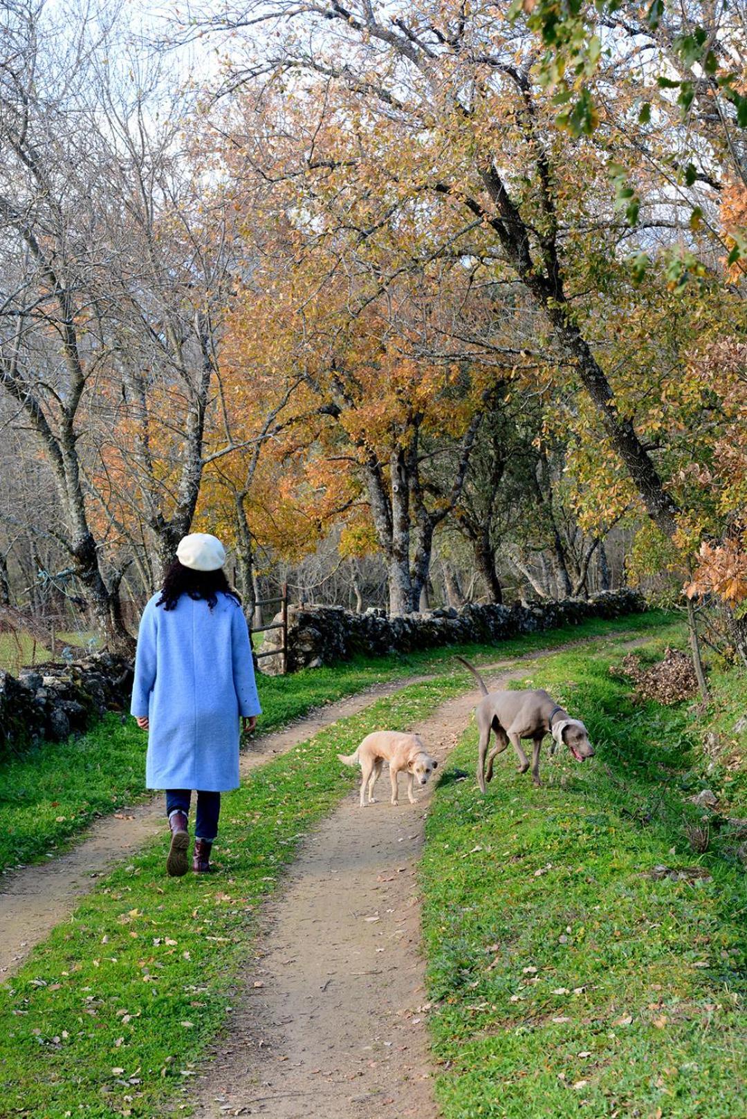 Posada Rural La Resinera La Adrada Εξωτερικό φωτογραφία