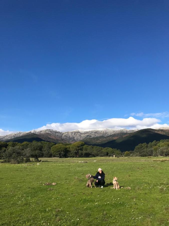 Posada Rural La Resinera La Adrada Εξωτερικό φωτογραφία