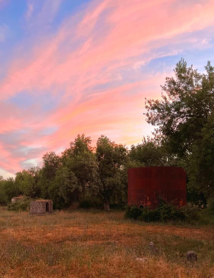 Posada Rural La Resinera La Adrada Εξωτερικό φωτογραφία