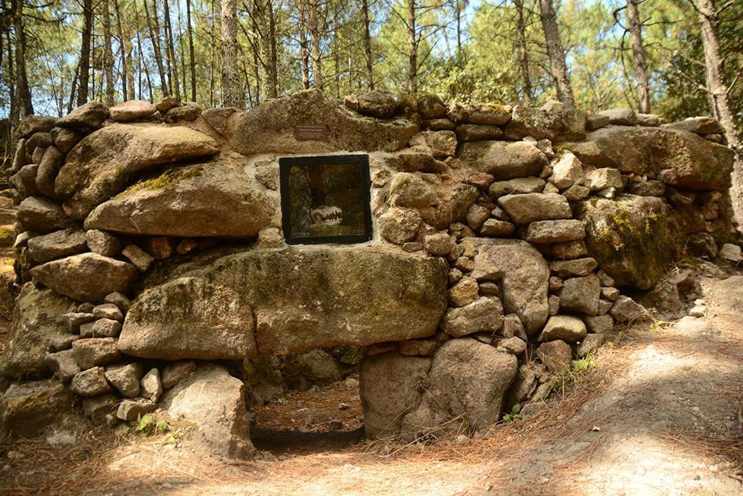 Posada Rural La Resinera La Adrada Εξωτερικό φωτογραφία